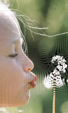 ��������ģ�������ֻ���v0.981 �ٷ������ͼ