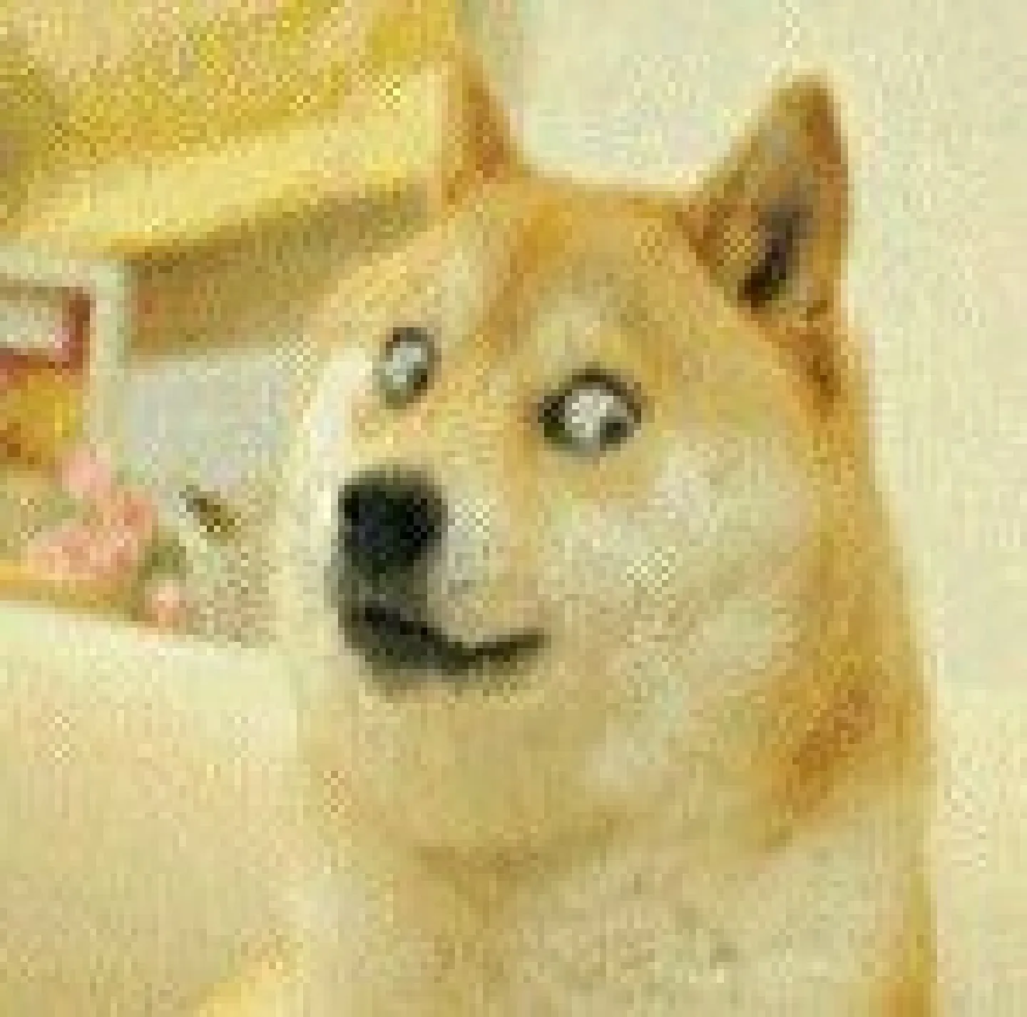 ����������2026���°汾v20260128 ��Ѱ�