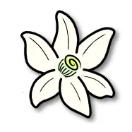 �Ȼ�ģ����2026���°汾