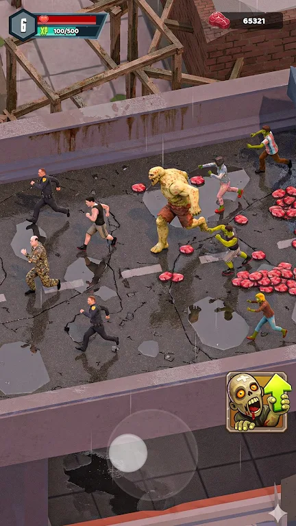 ɥʬ����2026�ٷ����°汾v0.0.3 �ֻ����ͼ