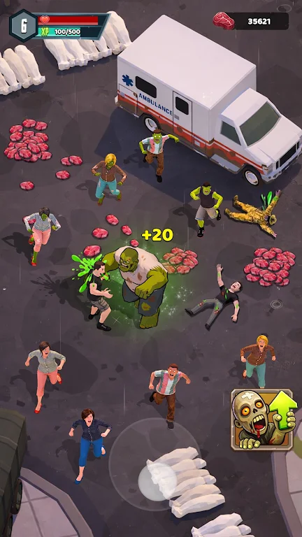 ɥʬ����2026�ٷ����°汾v0.0.3 �ֻ����ͼ