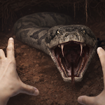 �ֲ������ڹ���2026�ٷ�����