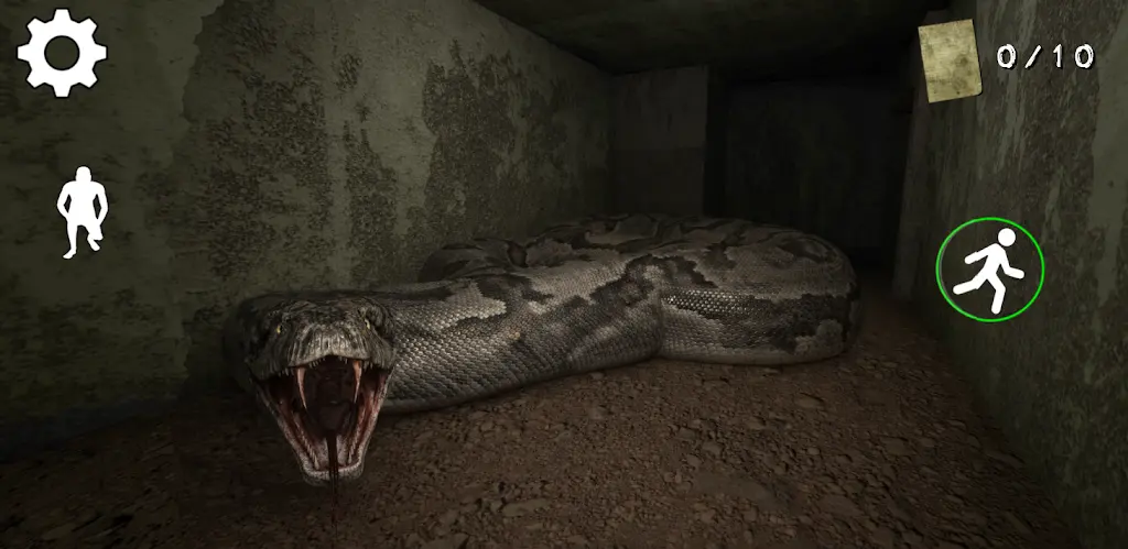 �ֲ������ڹ���2026�ٷ�����v1.1 ��׿���ͼ