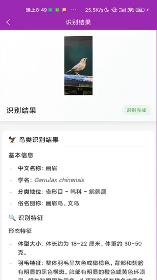 ʶ��2026���ذ�װv1.1.0 ��Ѱ��ͼ