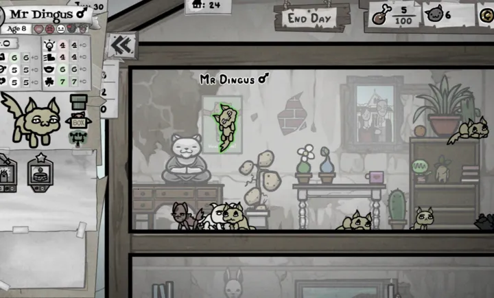 �����Ľ�ϣ�����PC���԰�2026���°汾v1.0 ��׿���ͼ