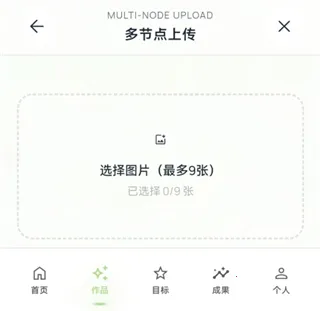 EchoDraw(绘画记录软件) EchoDraw(绘画记录软件)