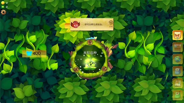 彩翼蝴蝶保护区无限货币 彩翼蝴蝶保护区无限货币