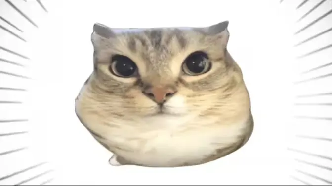 �ͰͲ�һ(�ͰͲ�һƽ̨)v1.0 �ֻ����ͼ