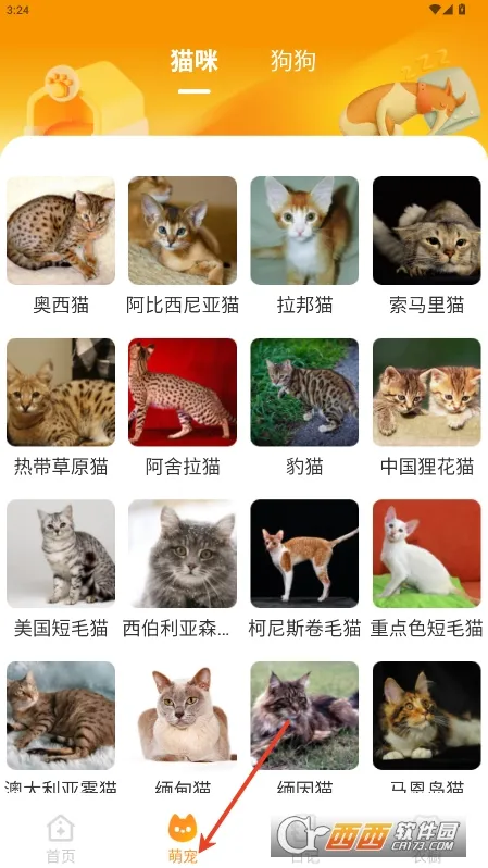 Ԫ����ֽ�ƽ��v2.0.5 ��Ѱ��ͼ