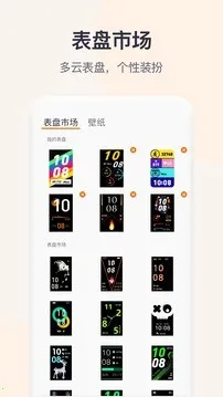 QWatchPro(���ܴ�����������)