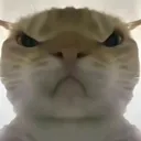 �������ж����󹤾�2026���°汾