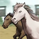 ����Ҳ��������ƽ��