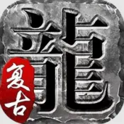 ��˵����(���Ŵ�������)