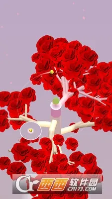 ��ת֮�������ֻ���v1.2.0 �ֻ����ͼ