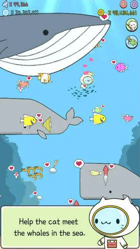 ˮ��è���İ�2026���°汾v1.0.1 �ֻ����ͼ