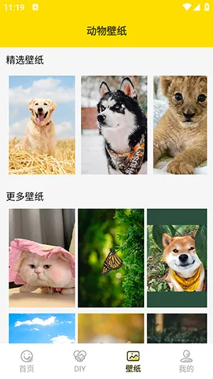 ���ӱ����(�������������)v1.5 ��׿���ͼ