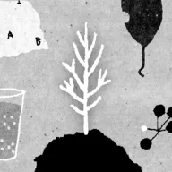 ������(����������Ϸ)