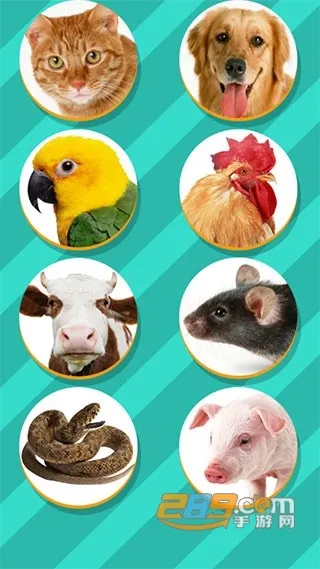 ���﷭����ȫ������v6.2.369 �ٷ������ͼ