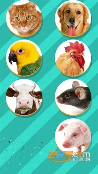 ���﷭����ȫ������v6.2.369 �ٷ������ͼ