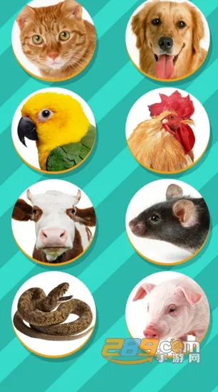 ���﷭����ȫ������