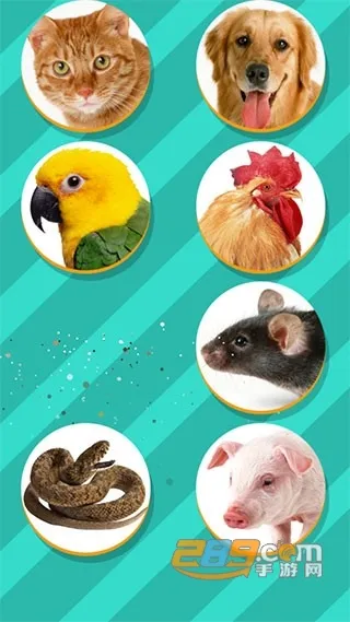 ���﷭����ȫ������v6.2.369 �ٷ������ͼ