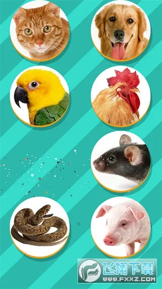 ���﷭����ȫ������v6.2.369 �ٷ������ͼ