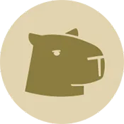 Capy Reader�����ֻ���v2026.02.1197 �ֻ���