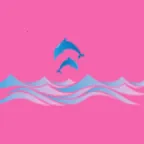 �涯���2026�ٷ�����v1.0.0 �ٷ�����