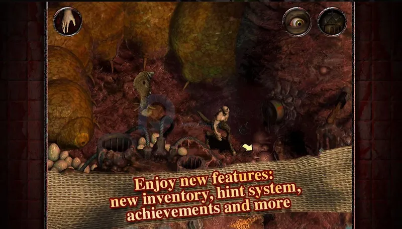 ����ԺSteam��ֲ��