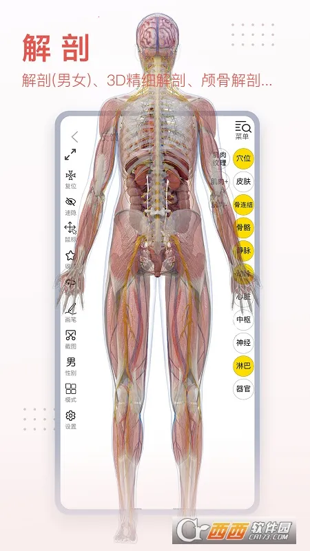 3dbody�������İ�v8.8.91 �ٷ������ͼ