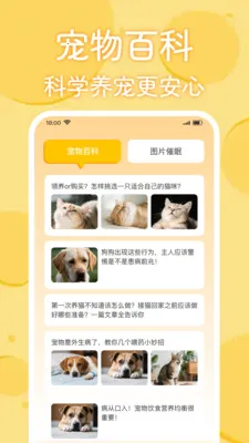 è�������﷭����2026�ٷ����°汾v1.0.2 �ֻ����ͼ