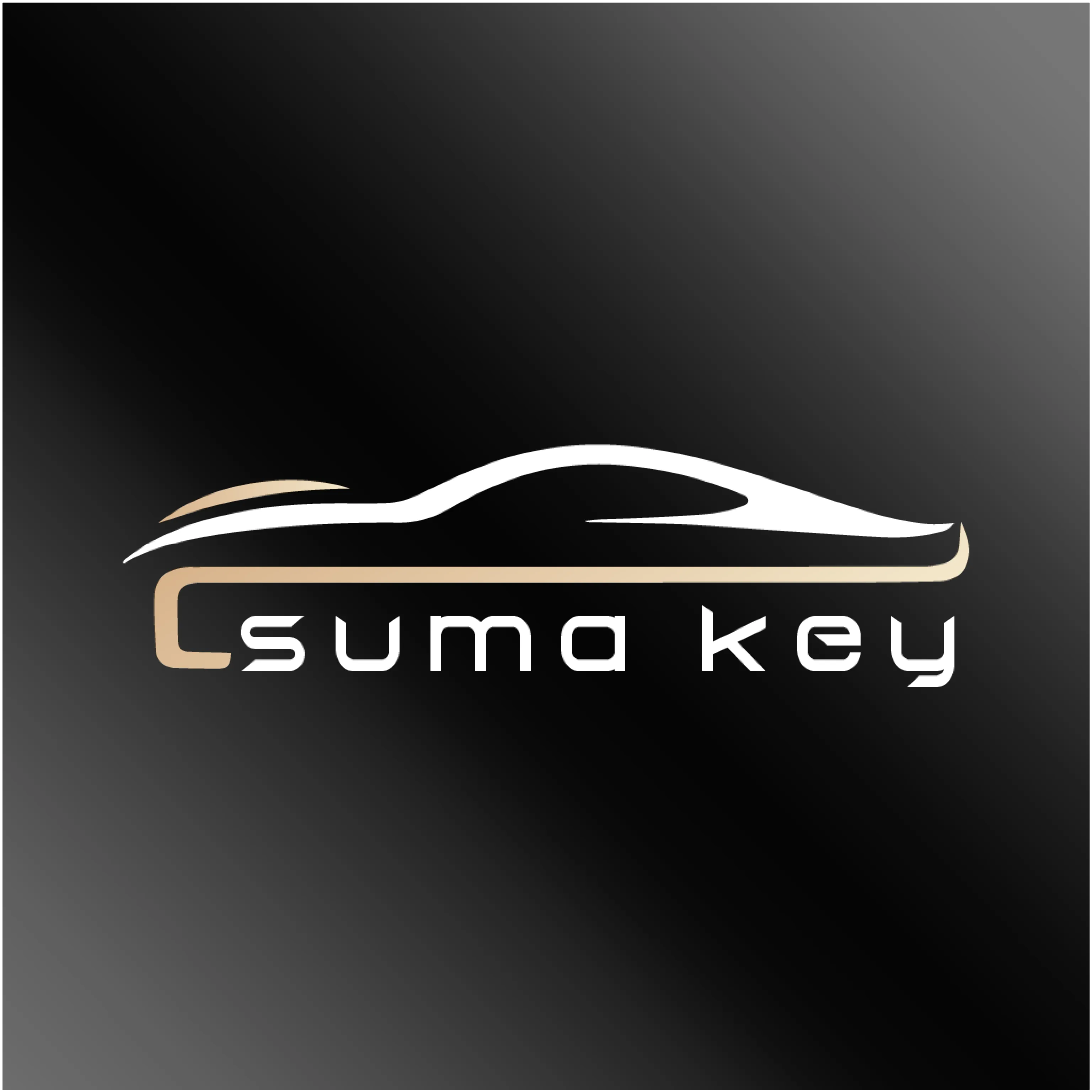 ������(�ֻ��س�����)v26.04.08.01 �ٷ�����