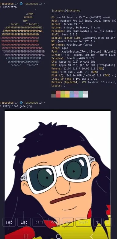 chuchu2026���ذ�װv1.0 ��Ѱ��ͼ