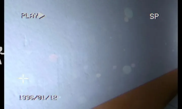 ���ң���ʧ¼���(���˿ֲ���Ϸ)vpre1 �ٷ������ͼ