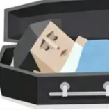 SBTI����2026���ذ�װv1.1.1 �ֻ���