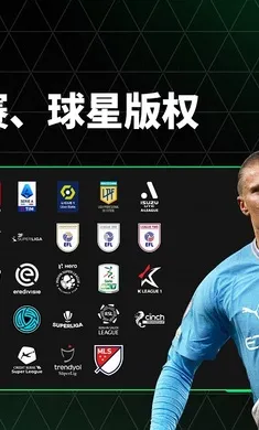 FC��������������ع��2026���°汾v31.0.02 �ٷ������ͼ