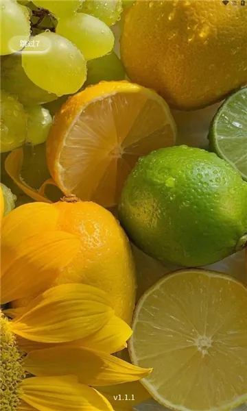 �����ջ�2026���ذ�װv1.1.6 ��Ѱ��ͼ