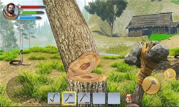 ������Ŷ�(��Ұ������Ϸ)v1.0 �ֻ����ͼ