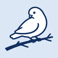 BB�ռ������Bվ(bbspace2026�ٷ�����v1.4.9 ��׿��