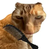 ��è��ë�����ֻ���