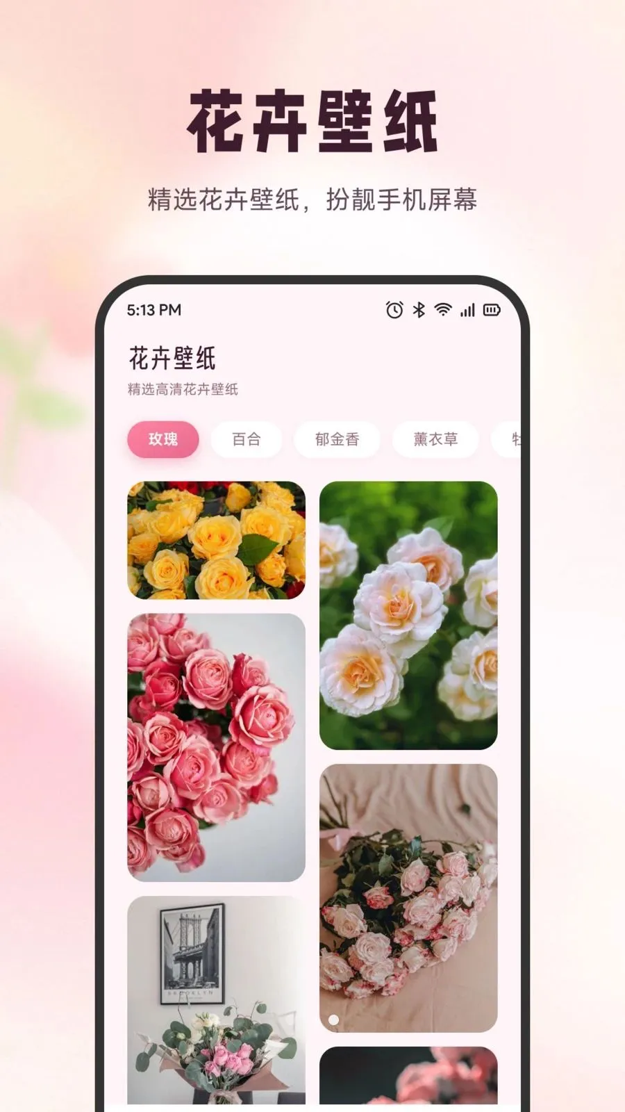 ѩ�ڻ���2026�ٷ�����v1.1 ��׿���ͼ