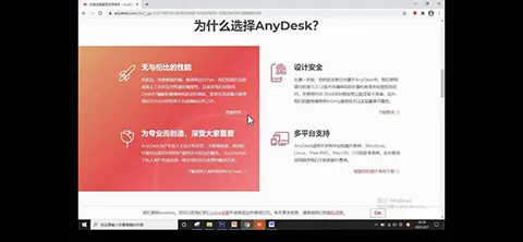 AnyDesk(Զ����������)