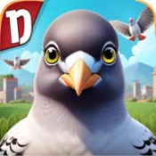 pigeon games(����������Ϸ)
