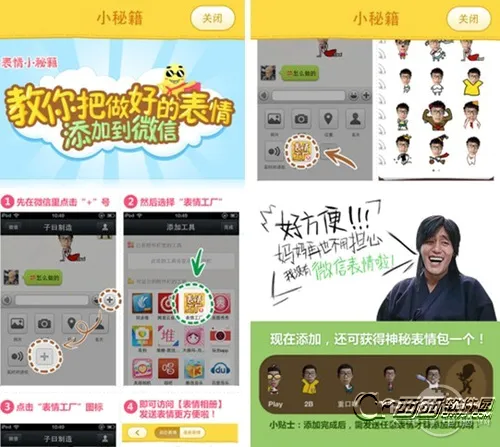 ���鹤��(�������������)