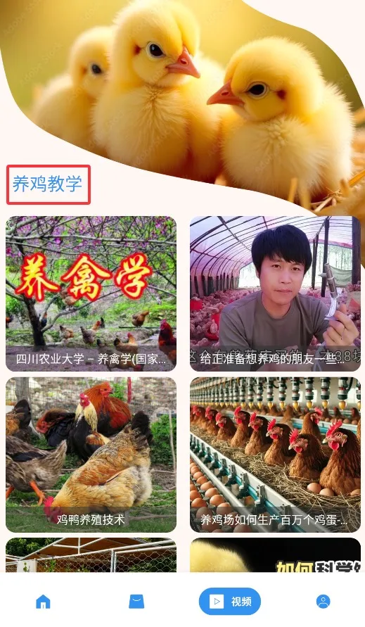 ������(��������app)