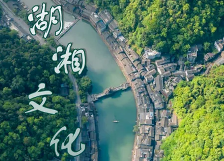 ��˰�籣�ɷ�2026�ٷ����°汾