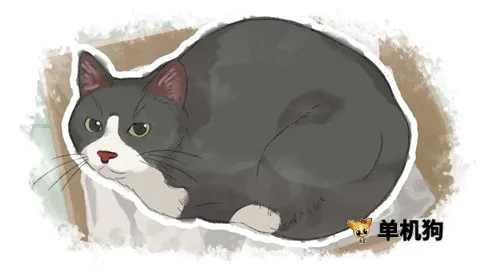 ���װ�����(�Ӿ�С˵����)