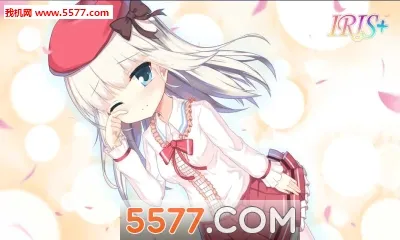 IRIS(���ý�ɫ������Ϸ)v0.13 �ֻ����ͼ