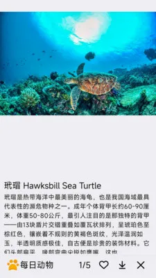 ÿ�ն���(�������APP)v1.0.0 �ٷ������ͼ