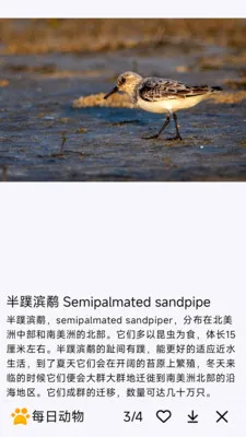 ÿ�ն���(�������APP)v1.0.0 �ٷ������ͼ